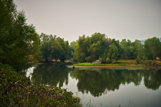 Lake at Sonny's Farm