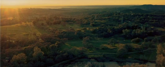 Arial image of Sonny's Farm California