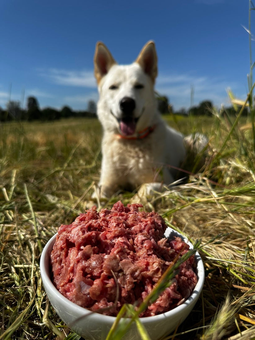 Sonny's Farm raw pastured ground turkey dog food