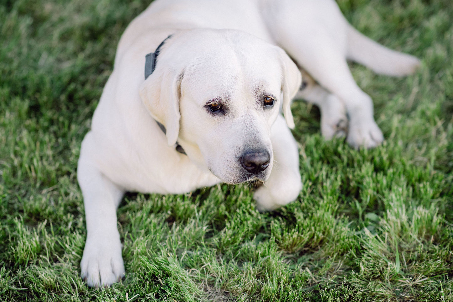 Sonny's Surprise Box