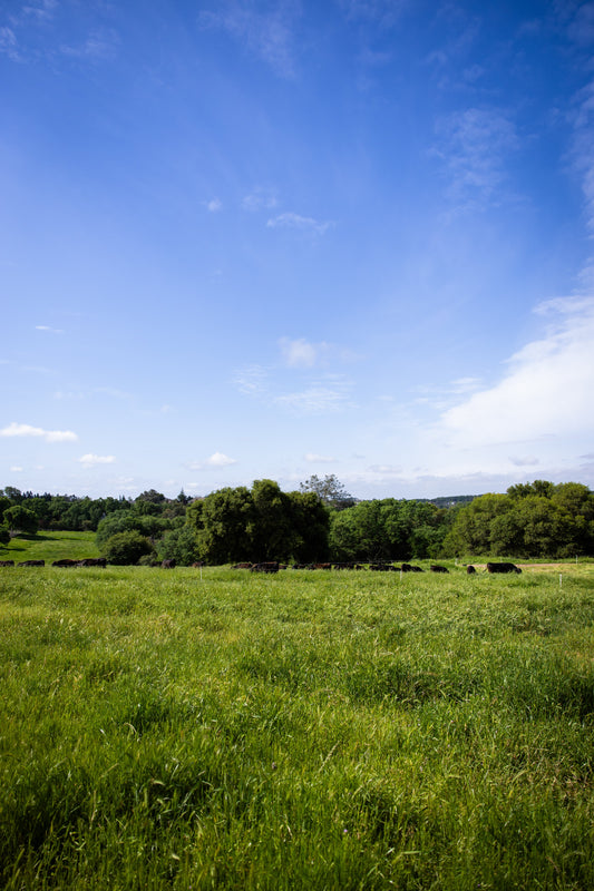 Healthy Farming Starts With Healthy Soil