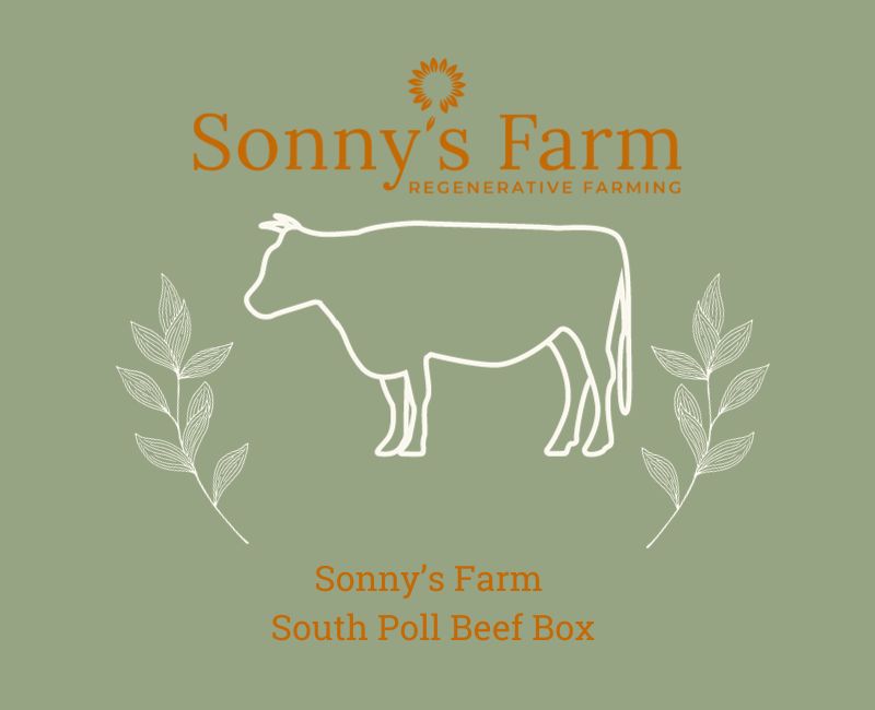 Sonny's Farm South Poll Beef Box